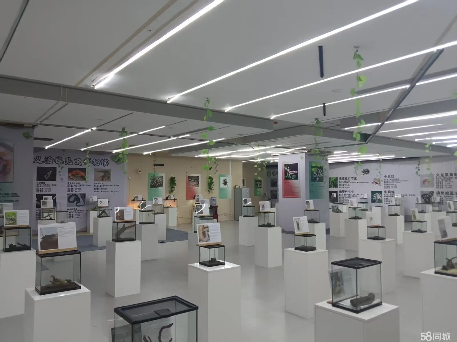 （转让）整体打包，店铺可以在任何一个地方经营